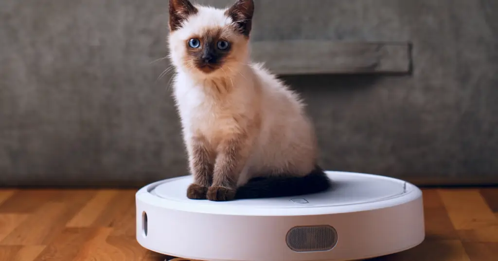 Melhor Aspirador de Pó para Pets