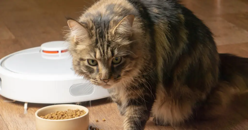 melhor aspirador robô custo-benefício